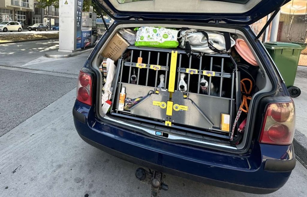 telepakolt auto